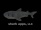 shark apps, LLC logo