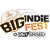 Steel Media to launch The Big Indie Fest @ ReVersed in July